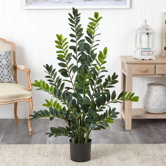 4ft. Potted ZZ Plant